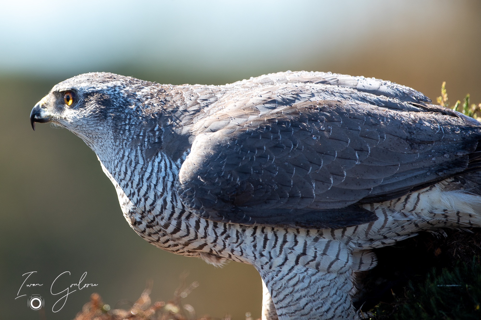 27 maart 2022 143442  5D44869